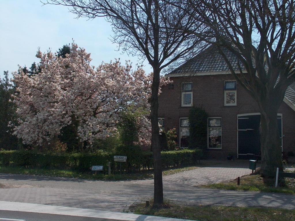 Molenvoort Bed and Breakfast Wachtum Exteriör bild