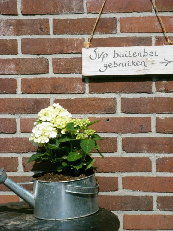 Molenvoort Bed and Breakfast Wachtum Exteriör bild