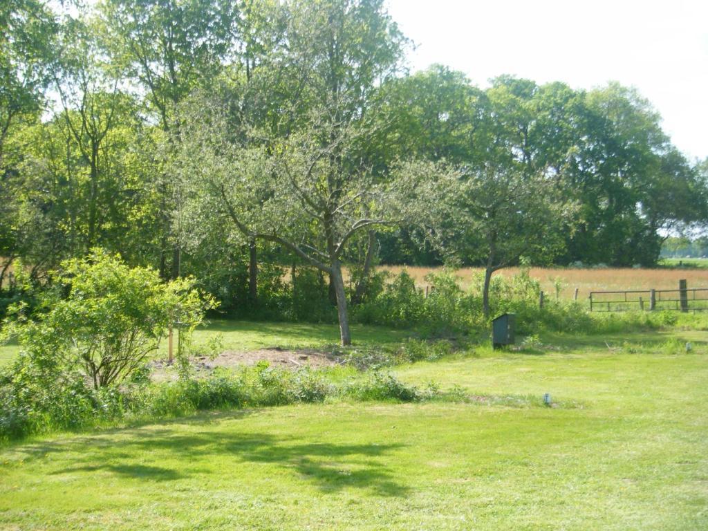 Molenvoort Bed and Breakfast Wachtum Exteriör bild