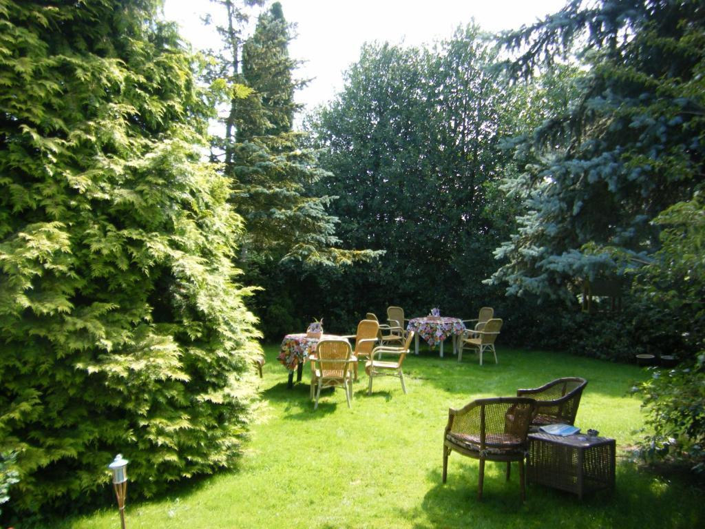 Molenvoort Bed and Breakfast Wachtum Exteriör bild