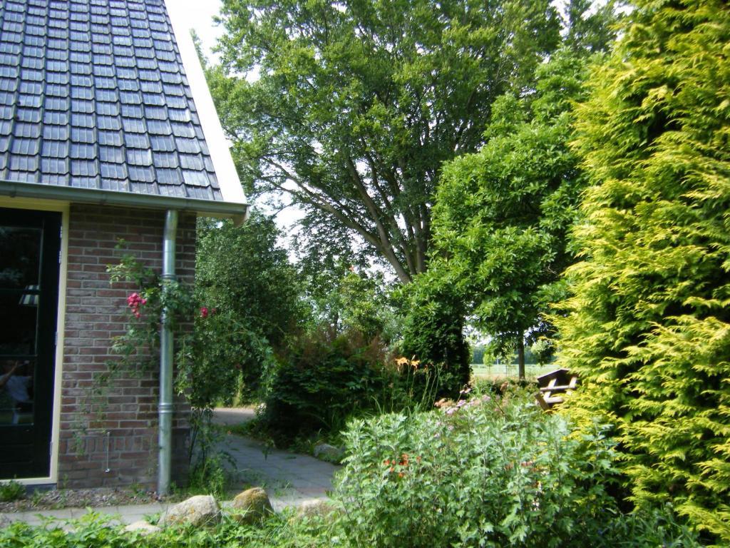 Molenvoort Bed and Breakfast Wachtum Exteriör bild